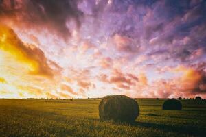 tramonto nel un' campo con mucchi di fieno su un' estate o presto autunno sera con un' nuvoloso cielo nel il sfondo. Approvvigionamento di animale alimentazione nel agricoltura. Vintage ▾ film estetico. foto