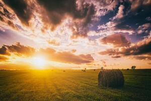 tramonto nel un' campo con mucchi di fieno su un' estate o presto autunno sera con un' nuvoloso cielo nel il sfondo. Approvvigionamento di animale alimentazione nel agricoltura. Vintage ▾ film estetico. foto