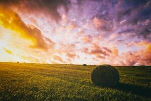 tramonto nel un' campo con mucchi di fieno su un' estate o presto autunno sera con un' nuvoloso cielo nel il sfondo. Approvvigionamento di animale alimentazione nel agricoltura. Vintage ▾ film estetico. foto