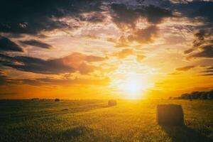 tramonto nel un' campo con mucchi di fieno su un' estate o presto autunno sera con un' nuvoloso cielo nel il sfondo. Approvvigionamento di animale alimentazione nel agricoltura. Vintage ▾ film estetico. foto