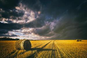 un' campo di un' mucchi di fieno su un autunno giorno, illuminato di luce del sole, con pioggia nuvole nel il cielo. Vintage ▾ film estetico. foto