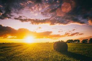 tramonto nel un' campo con mucchi di fieno su un' estate o presto autunno sera con un' nuvoloso cielo nel il sfondo. Approvvigionamento di animale alimentazione nel agricoltura. Vintage ▾ film estetico. foto