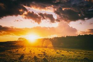 tramonto o Alba nel un' primavera campo con verde erba, salice alberi e nuvoloso cielo. Vintage ▾ film estetico. foto