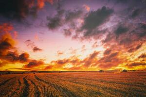 tramonto su il campo con mucchi di fieno nel autunno stagione. rurale paesaggio con nuvoloso cielo sfondo nel un' soleggiato sera. Vintage ▾ film estetico. foto