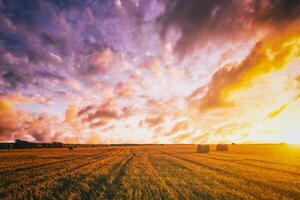 tramonto su il campo con mucchi di fieno nel autunno stagione. rurale paesaggio con nuvoloso cielo sfondo nel un' soleggiato sera. Vintage ▾ film estetico. foto