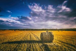 un' campo di un' mucchi di fieno su un autunno giorno, illuminato di luce del sole, con pioggia nuvole nel il cielo. Vintage ▾ film estetico. foto