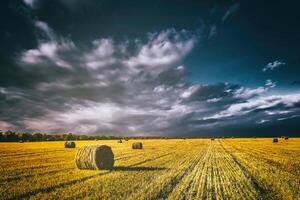 un' campo di un' mucchi di fieno su un autunno giorno, illuminato di luce del sole, con pioggia nuvole nel il cielo. Vintage ▾ film estetico. foto