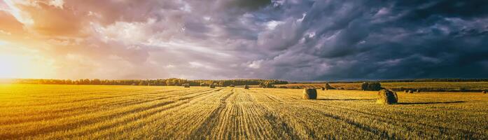 un' campo di un' mucchi di fieno su un autunno giorno, illuminato di luce del sole, con pioggia nuvole nel il cielo. Vintage ▾ film estetico. panorama. foto