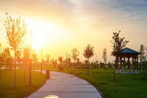 città parco nel presto estate o primavera con marciapiede, lanterne, giovane verde prato, alberi e drammatico nuvoloso cielo su un' tramonto o Alba. foto