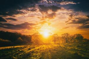 tramonto o Alba nel un' primavera campo con verde erba, salice alberi e nuvoloso cielo. Vintage ▾ film estetico. foto