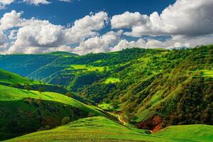 colline e montagne coperto con giovane verde erba e illuminato di il sole su un' soleggiato giorno. foto