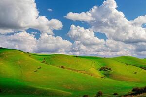 colline e montagne coperto con giovane verde erba e illuminato di il sole su un' soleggiato giorno. foto