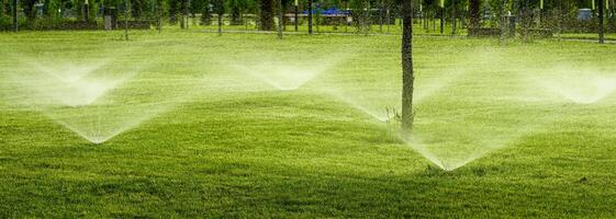 automatico prato irrigazione sistema irrigazione il giovane verde prato erba nel il parco. foto