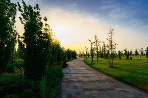 città parco nel presto estate o primavera con marciapiede, lanterne, giovane verde prato, alberi e drammatico nuvoloso cielo su un' tramonto o Alba. foto