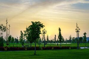 città parco nel presto estate o primavera con lanterne, giovane verde prato, alberi e drammatico nuvoloso cielo su un' tramonto o Alba. foto