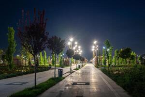 città notte parco nel presto estate o primavera con marciapiede, lanterne, giovane verde prato e alberi. foto