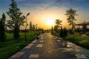 città parco nel presto estate o primavera con marciapiede, lanterne, giovane verde prato, alberi e drammatico nuvoloso cielo su un' tramonto o Alba. foto