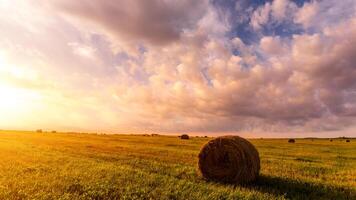un' campo con mucchi di fieno su un' estate o presto autunno sera con un' nuvoloso cielo nel il sfondo. foto