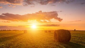 un' campo con mucchi di fieno su un' estate o presto autunno sera con un' nuvoloso cielo nel il sfondo. foto