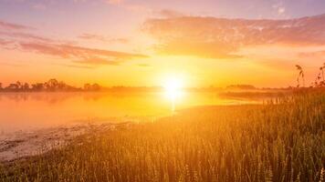 panoramico Visualizza di bellissimo Alba o alba sopra il stagno o lago a primavera o presto estate mattina. foto