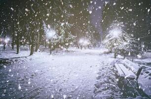 nevicata nel un' inverno parco a notte con raggiante lanterne, marciapiede coperto con neve e alberi. Vintage ▾ film estetico. foto