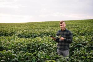 giovane agronomo detiene tavoletta toccare tampone computer nel il soia campo e l'esame colture prima raccolta. agribusiness concetto. agricolo ingegnere in piedi nel un' soia campo con un' tavoletta nel estate. foto