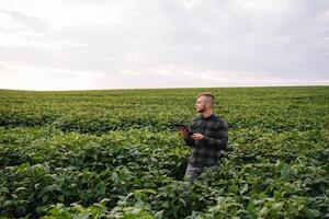 agronomo ispezionando soia fagiolo colture in crescita nel il azienda agricola campo. agricoltura produzione concetto. agribusiness concetto. agricolo ingegnere in piedi nel un' soia campo foto