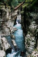 bianca roccia canyon giungla e montagna foresta escursionismo, khosta fiume lungo scogliere foto