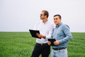 Due contadino in piedi nel un' Grano campo e guardare a tavoletta, essi siamo l'esame corp foto