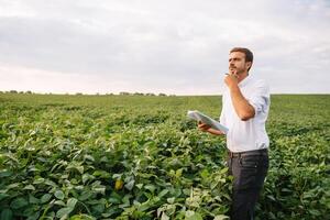 agronomo ispezionando soia fagiolo colture in crescita nel il azienda agricola campo. agricoltura produzione concetto. agribusiness concetto. agricolo ingegnere in piedi nel un' soia campo foto