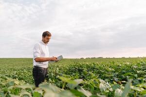 agronomo ispezionando soia fagiolo colture in crescita nel il azienda agricola campo. agricoltura produzione concetto. agribusiness concetto. agricolo ingegnere in piedi nel un' soia campo foto