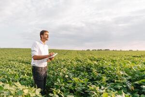 agronomo ispezionando soia fagiolo colture in crescita nel il azienda agricola campo. agricoltura produzione concetto. agribusiness concetto. agricolo ingegnere in piedi nel un' soia campo foto