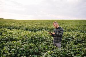 agronomo ispezionando soia fagiolo colture in crescita nel il azienda agricola campo. agricoltura produzione concetto. agribusiness concetto. agricolo ingegnere in piedi nel un' soia campo foto