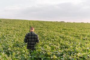 agronomo ispezionando soia fagiolo colture in crescita nel il azienda agricola campo. agricoltura produzione concetto. agribusiness concetto. agricolo ingegnere in piedi nel un' soia campo foto