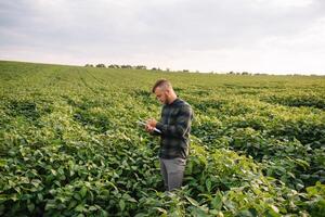 agronomo ispezionando soia fagiolo colture in crescita nel il azienda agricola campo. agricoltura produzione concetto. agribusiness concetto. agricolo ingegnere in piedi nel un' soia campo foto