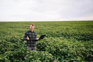 agronomo ispezionando soia fagiolo colture in crescita nel il azienda agricola campo. agricoltura produzione concetto. agribusiness concetto. agricolo ingegnere in piedi nel un' soia campo foto