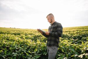 agronomo ispezionando soia fagiolo colture in crescita nel il azienda agricola campo. agricoltura produzione concetto. agribusiness concetto. agricolo ingegnere in piedi nel un' soia campo foto