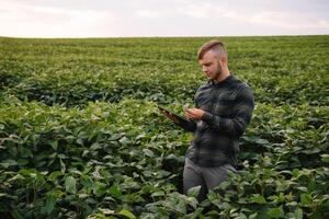 agronomo ispezionando soia fagiolo colture in crescita nel il azienda agricola campo. agricoltura produzione concetto. agribusiness concetto. agricolo ingegnere in piedi nel un' soia campo foto