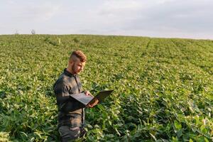 agronomo ispezionando soia fagiolo colture in crescita nel il azienda agricola campo. agricoltura produzione concetto. agribusiness concetto. agricolo ingegnere in piedi nel un' soia campo foto