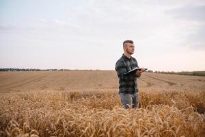 sfondo con Cracked suolo e soia campo. siccità nel agricoltura. superiore Visualizza di siccità nel soia campo con Cracked suolo foto