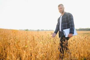 contadino agronomo nel soia campo controllo raccolti. biologico cibo produzione e coltivazione foto