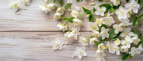 bianca gelsomino fiori di legno sfondo foto