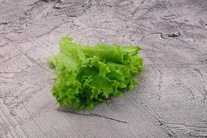 succoso fresco verde frilis insalata foto