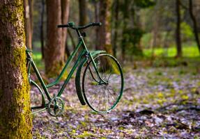 un vecchio bicicletta su un' albero tronco nel il foresta foto