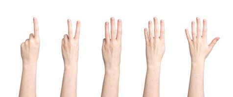 mano conteggio, dita mostrando cifre, numeri a partire dal uno per cinque, isolato su bianca sfondo foto