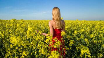 caucasico donna nel rosso vestito nel panoramico giallo colza campo foto