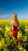 caucasico donna nel rosso vestito nel panoramico giallo colza campo foto