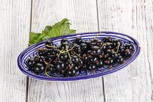 succoso nero ribes frutti di bosco nel il ciotola foto