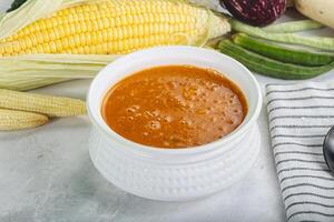 vegano cucina - caldo pomodoro la minestra foto