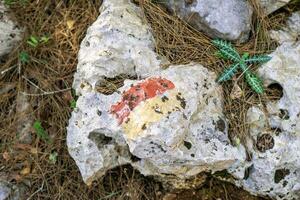 avvicinamento di roccia con rosso e bianca marcatura, circondato di caduto le foglie e rami nel foresta. liceo modo, tacchino foto